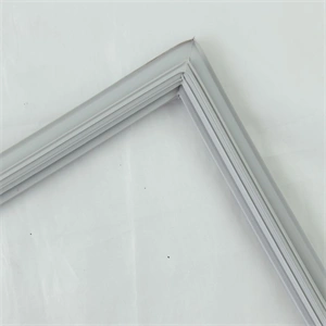 570X910 MM Ajtógumi, normáltér (eredeti) SAMSUNG hűtőgép / RENDELÉSRE