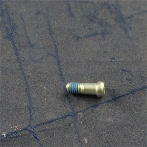 Csavar (eredeti) WHIRLPOOL / INDESIT mikrohullámú sütő / RENDELÉSRE