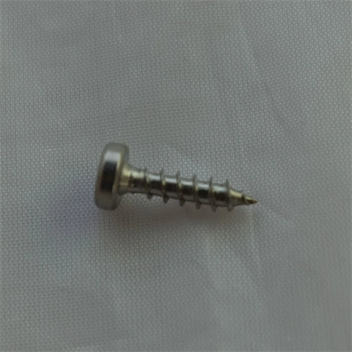 Csavar (eredeti) WHIRLPOOL / INDESIT szárítógép / RENDELÉSRE