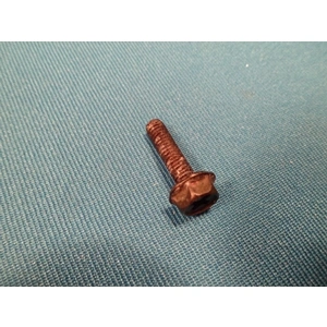 Csavar (sütő ajtó) WHIRLPOOL tűzhely / RENDELÉSRE