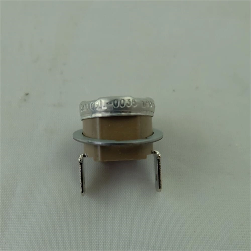 Hőkorlátozó 95 °C(eredeti) SAECO kávéfőző gép / RENDELÉSRE