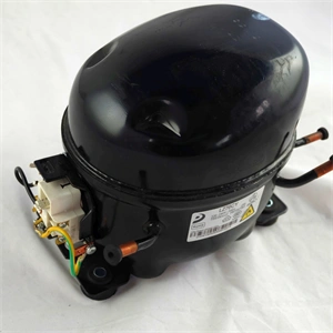 Kompresszor (eredeti) ELECTROLUX kompresszor / RENDELÉSRE