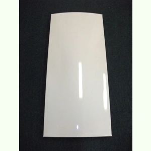 Külső ajtó ELECTROLUX (52,5x118 cm) fagyasztószekrény /RENDELÉSRE