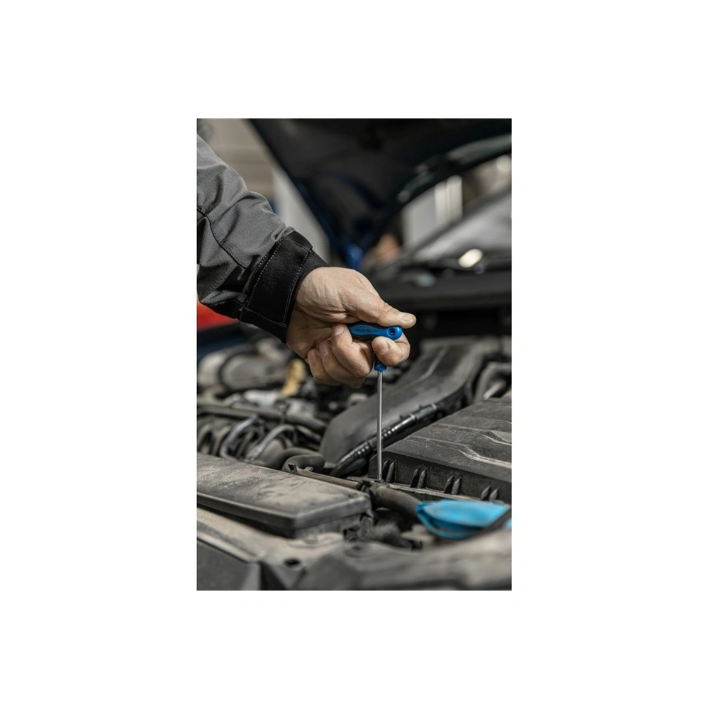 Torx furatos kulcs, TT25, nyeles, hosszított, HÖGERT HT1W872